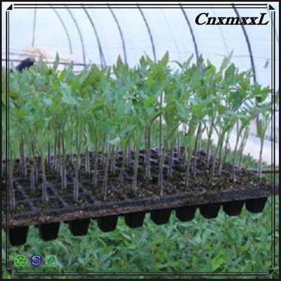 Tacka na sadzonki z tworzywa sztucznego o grubości 2 mm, z komórkami 32, 50, 98, 108, 118, 200 - do drzew leśnych - odporna na starzenie i trwała