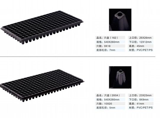 200-komórkowa plastikowa tablica do sadzenia - gruba 2 mm i odporna na starzenie się dla trwałego wzrostu roślin