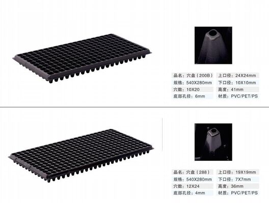 200-komórkowa plastikowa tablica do sadzenia - gruba 2 mm i odporna na starzenie się dla trwałego rozmnażania roślin