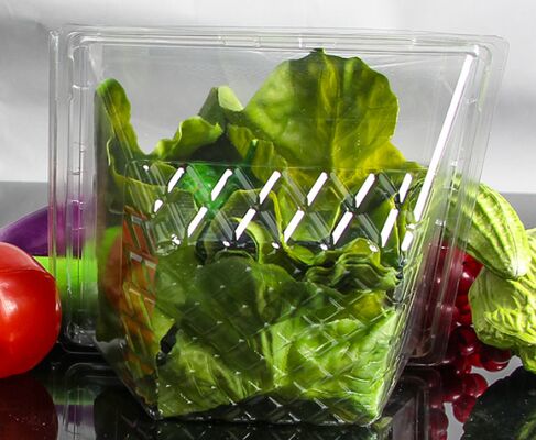 Personalizowalne, nadające się do recyklingu pudełko PET na owoce i warzywa z termoformowanym przezroczystym opakowaniem