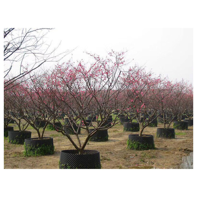 Wholesale Price  Air Pruning  root Pot Big plant pot