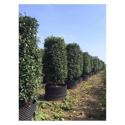 Wholesale Price  Air Pruning  root Pot Big plant pot