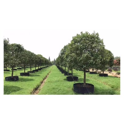 Wholesale Price  Air Pruning  root Pot Big plant pot