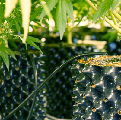 Convenient and eco-friendly pruning container root pot for wholesales
