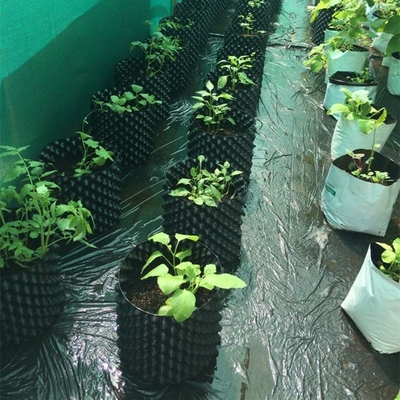 Plastic Air Pruning  root plant pot For Gardening