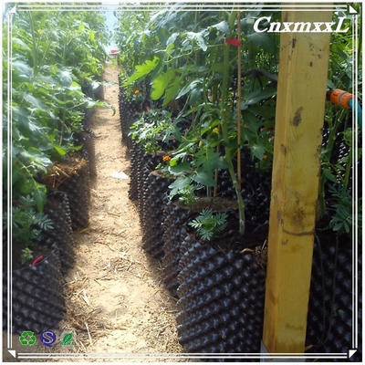 Convenient Round Plastic Plant air Pruning Pot