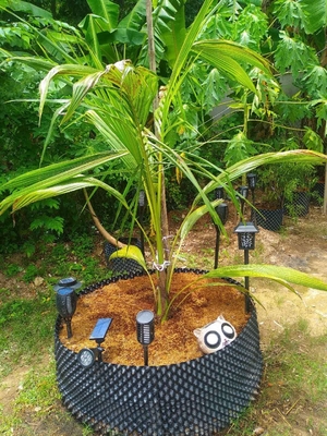 Fashion style air tank Root Control Black Pot hydroponic growing systems for wholesales