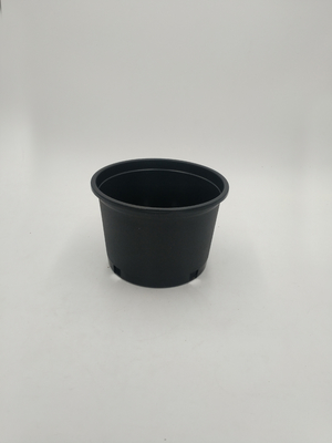 hard plastic 2 gallon plastic bucket plant watercress nutrition  pot