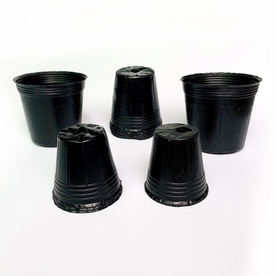 Wholesale plastic soft flower seeding pot