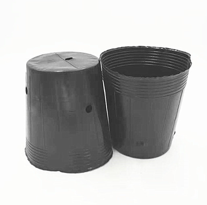 HDPE Plastic Nursery Pot Nasiona cebuli Roślinne czarne garnki do szklarni