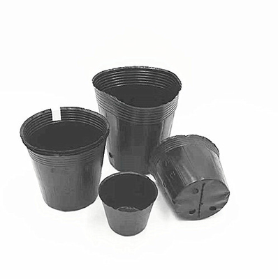 Sprzedaż hurtowa Czarny plastikowy miękki pęcherz Nasiona kwiatowe Węgiel dla drzewa