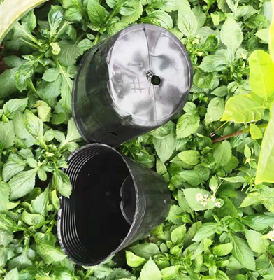 Wholesale plastic soft pot cheap plant pot mini plant pot