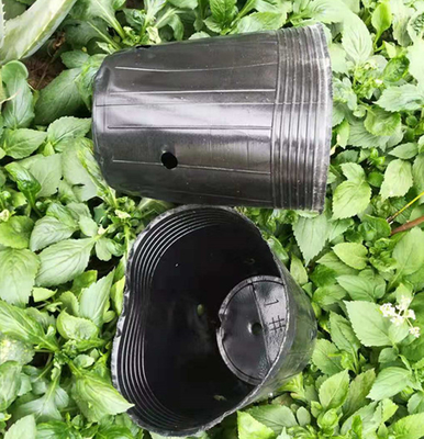 Wholesale plastic soft pot cheap plant pot mini plant pot