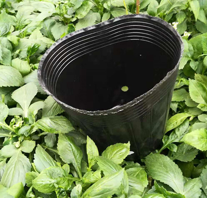 Wholesale plastic soft pot cheap plant pot mini plant pot
