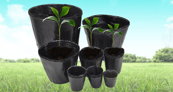 hydroponic soft plastic plant pot watercress pot with competitive price