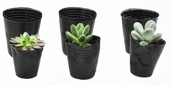 hydroponic soft plastic plant pot watercress pot with competitive price