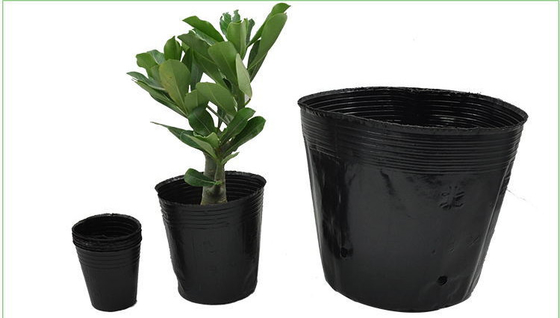 hydroponic soft plastic plant pot watercress pot with competitive price