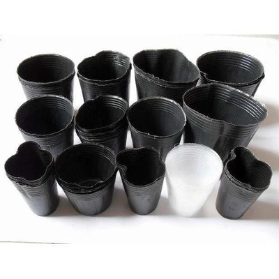 wholesale black  plastic soft blister flower seeds pot for Garden supplies