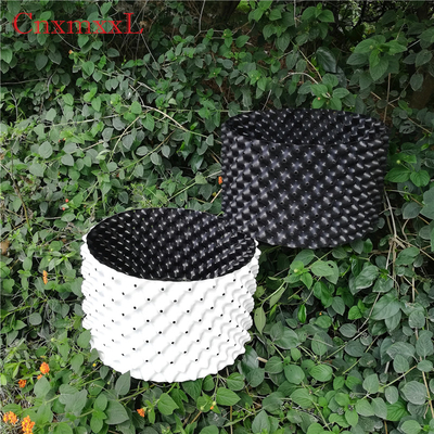 wholesale black  plastic soft blister flower seeds pot for Garden supplies