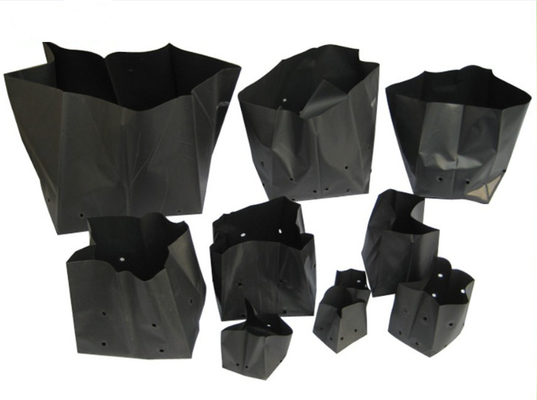 wholesale black  plastic soft blister flower seeds pot for Garden supplies