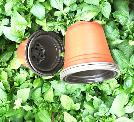 Cheap coloured plant flower soft plastic pots for tomato fruit
