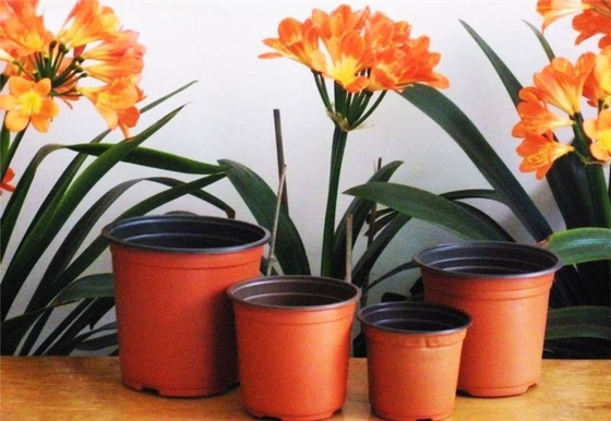 Professional Plant pots pp Lowest price soft brown colour plastic flower pot plastic with great price