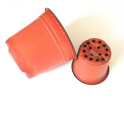 Vacuum formed thermoforming plastic blister pot for fower and tree