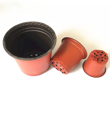 Vacuum formed thermoforming plastic blister pot for fower and tree