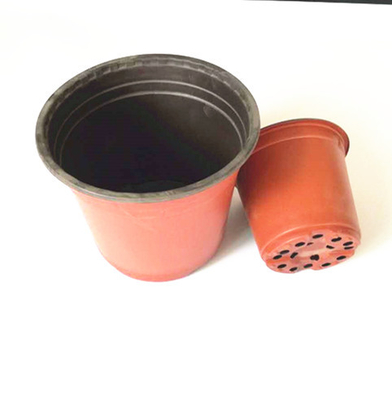 Vacuum formed thermoforming plastic blister pot for fower and tree