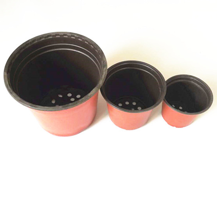 Vacuum formed thermoforming plastic blister pot for fower and tree