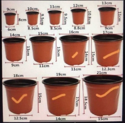 competitive price high-quality hydroponic fresh flower pot pp double color plastic flower pot