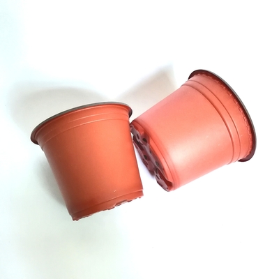 New Greenhouse using small plastic flower nursery pots double color flower pot