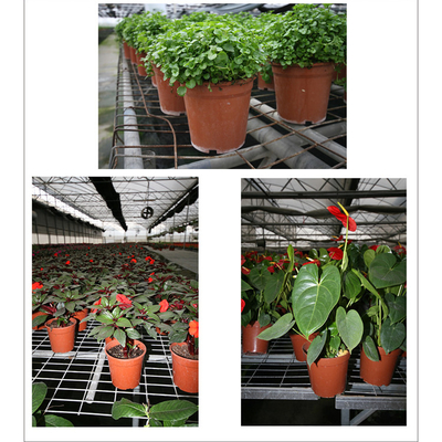 Light and soft black/double-color flower pot  laurel  seedling nutrition pot