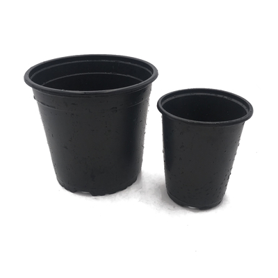 Light and soft black/double-color flower pot chive shoot  seedling nutrition pot