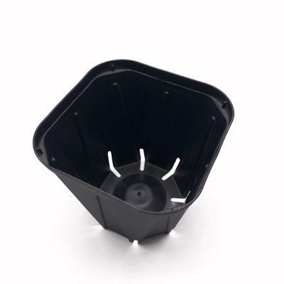 Small Flower garden plant pot square black plastic nursery pots rectangular plastic nursery pots for Agricultural greenhouse