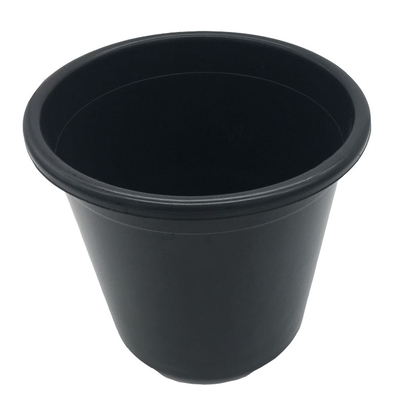 hard plastic 2 gallon plastic bucket plant watercress nutrition  pot