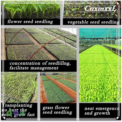 Professional lettuce seed trays for hydronic