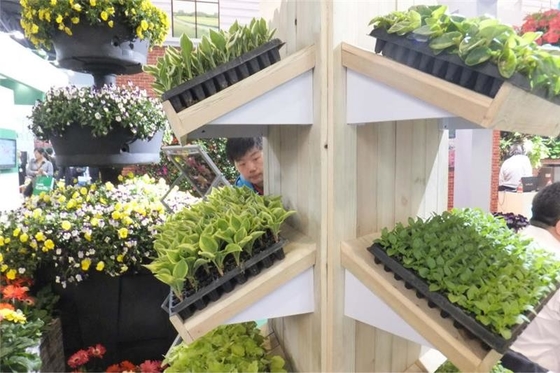 convenient and eco-friendly plastic nursery pots plant growing trays Seed grow 72 Cell Seedling Starter Tray in custom d
