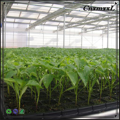 convenient and eco-friendly plastic nursery pots plant growing trays Seed grow 72 Cell Seedling Starter Tray in custom d