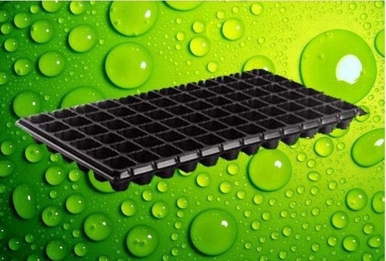 Brand new nursery seedling trays wholesale 105 cells plastic growing plug trays with low price