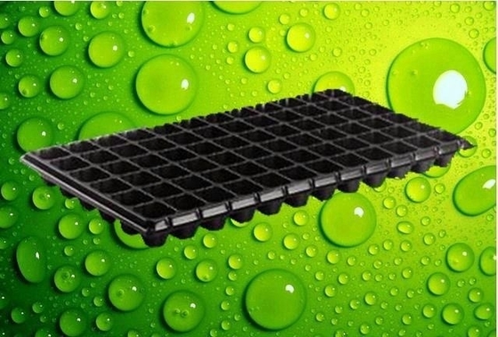 New design 50 cell trays seedling trays wholesale seedling pot with high quality