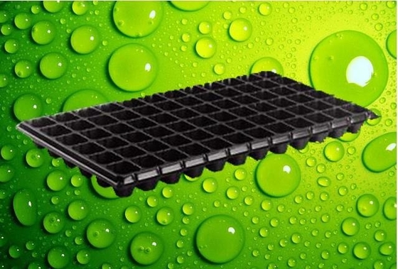 Convenient and eco-friendly adenium seeds taiwan seed tray plastic seedling tray made in China