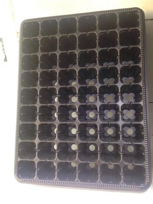 New design 200 cells seed tray for propagation plant growing trays Planting tray for green house and farm with great price