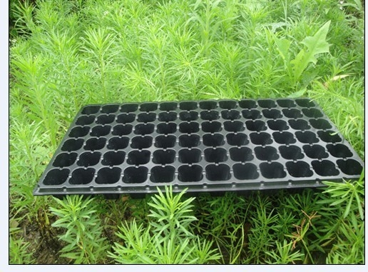 Brand new Growing seed starter tray 200 cells seeding trays in agriculture with high quality