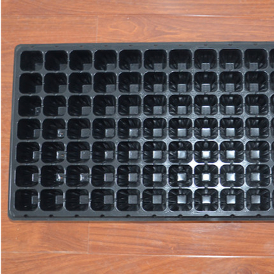 Square seeding plastic blister agriculture tray for flower and tree