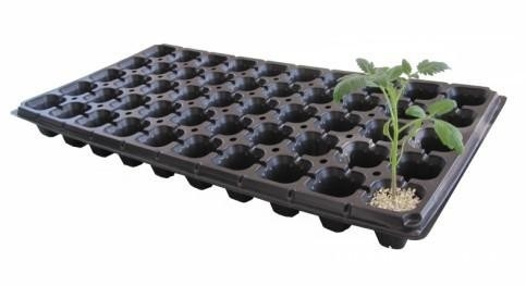 Square seeding plastic blister agriculture tray for flower and tree
