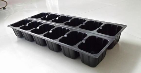 Square seeding plastic blister agriculture tray for flower and tree