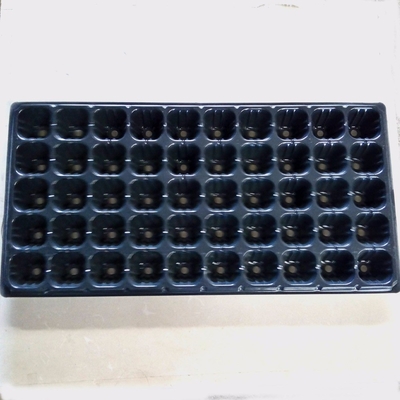 50 cells Plastic blister thermoforming vacuum PVC flower tree seedlings containers