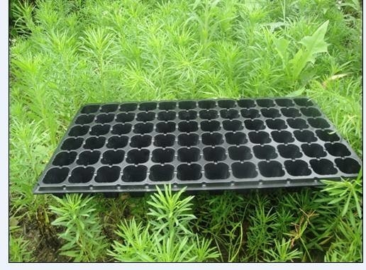50 cells Plastic blister thermoforming vacuum PVC flower tree seedlings containers