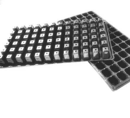 flower and tree seedlings growing plastic containers for outdoor planter